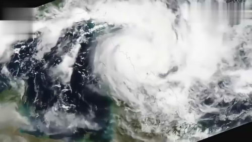 热带气旋,热带气旋包括