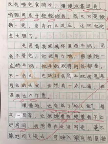 热心肠作文300字,热心肠作文300字写妈妈