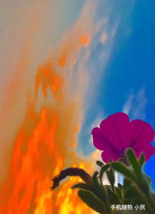 热爱生命的人,有关热爱生命,善待生命的名人事例?