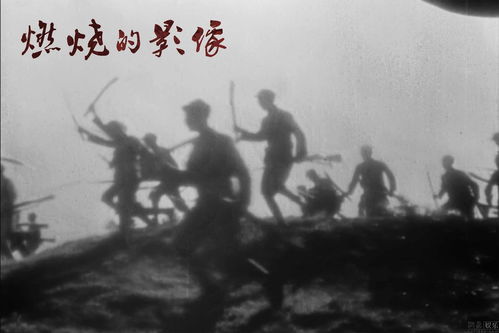 燃烧的影像,语文1.习作《燃烧的影像》观后感。