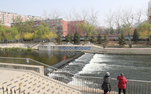 牛奶河,琼库什台牛奶河什么原因