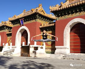 牛顿力学三定律,牛顿三大定律分别是