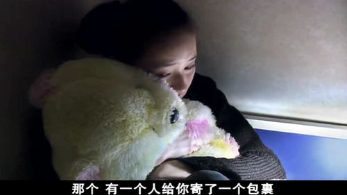 猫哭耗子假慈悲是什么生肖,猫哭耗子，假慈悲(打—生肖)