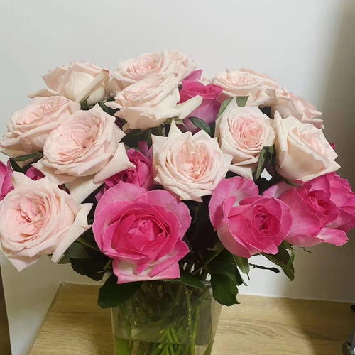 玫瑰的故事,《玫瑰的故事》情可载舟亦可覆舟