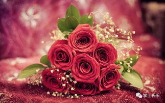 玫瑰花的眼泪,有一首歌第一句是什么真的好寂寞我只想跟你睡。