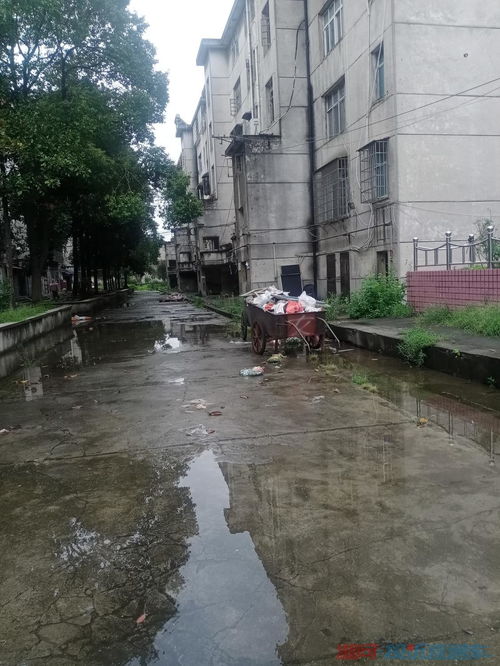 琼湖书院,琼湖书院录取分数线