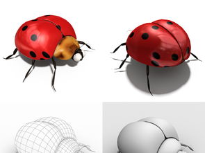 瓢虫网,北京的小瓢虫社区还有没有类似的