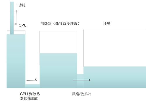 瓶颈效应,什么是建立者效应？什么是瓶颈效应？他们有什么联系么？