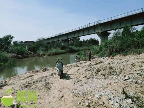 男子坠江爬上桥墩啃水草,武汉一男子坠江爬上桥墩啃水草撑四五天,他的意志力有多强?