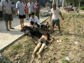 男子当街勒死驴友一审获死刑,黑龙江一男子当街勒死驴友一审获死刑，此案件有哪些细节值得关注？