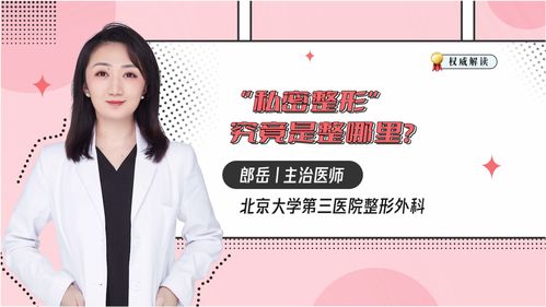 男性生殖器官,男性生殖系统由哪些器官组成各有何主要功能