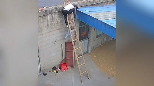 男童不慎踩破楼顶采光板坠亡,安徽男童因踩破楼顶采光板坠亡，物业是否需要承担相应的责任？