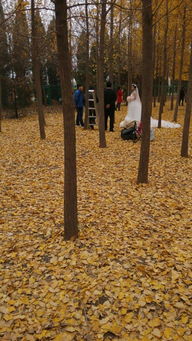 留下我的足迹,在这里留下我的足迹 用英语怎么说 拜托了？