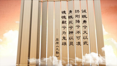 留取丹心照汗青的意思,留取丹心照汗青的意思