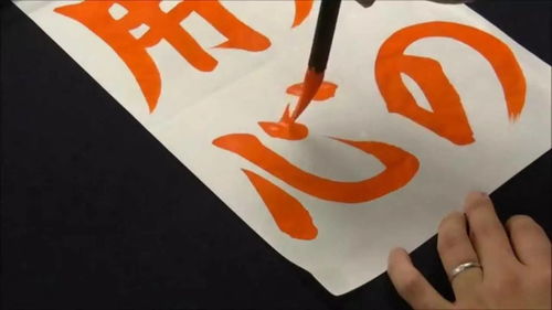 留心的近义词,留心的近义词