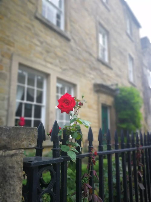 留恋处,雨霖铃原文及翻译赏析