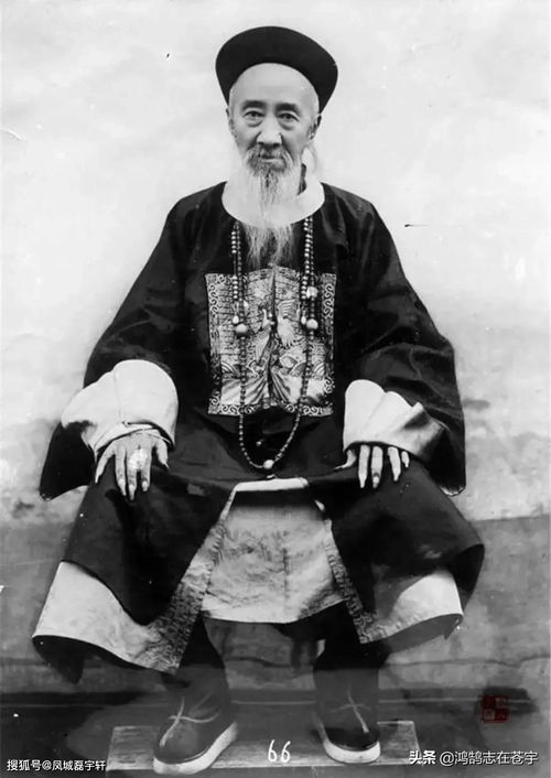 目光如,目光如什么成语