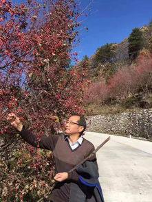 目光李汉荣,目光 李汉荣 阅读理解答案