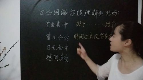 目无全牛的意思,成语目无全牛是什么意思