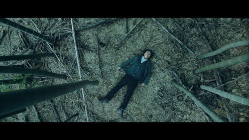 矛盾的同一性与对立性,矛盾的同一性与对立性分别是什么?