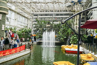 码头一般建在河流的,码头一般建在河流的什么地方