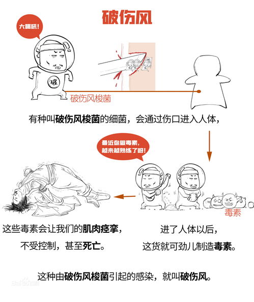 破伤风杆菌,破伤风杆菌的遗传物质是什么