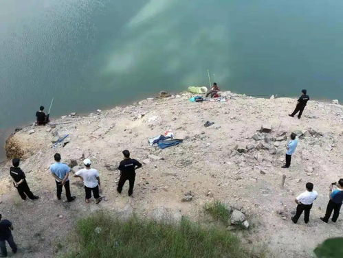 破坏环境的例子,8个破坏生态环境的事例有哪些