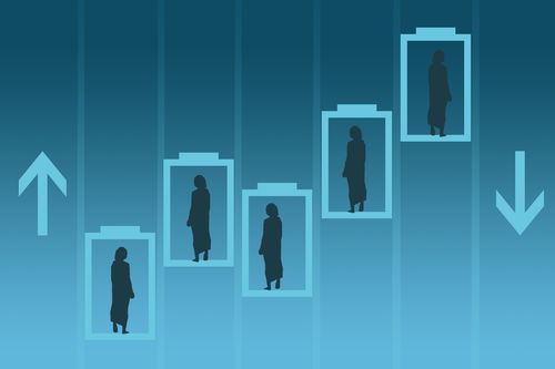 破窗效应,破窗效应是什么？