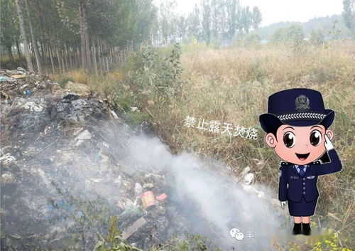 硫在空气中燃烧,硫在空气中点燃生成什么气体？