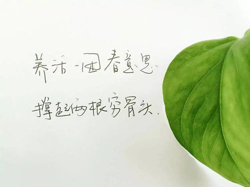 碌碌无为的意思,碌碌无为是什么意思