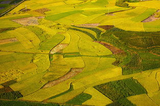 秋之神韵,秋之神韵的意思是什么