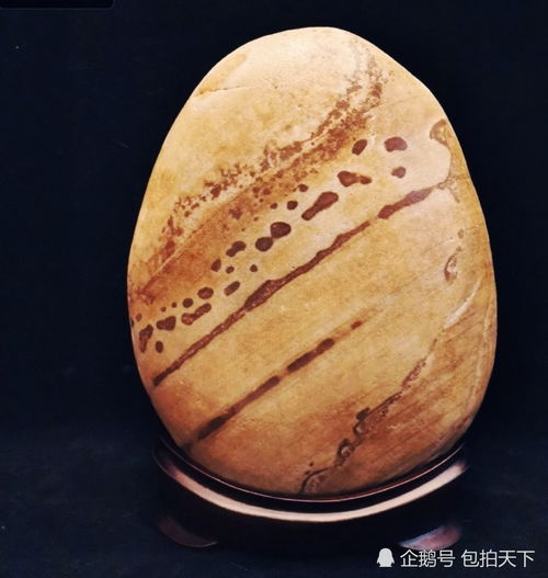 秋叶静羌,秋叶静羌什么意思