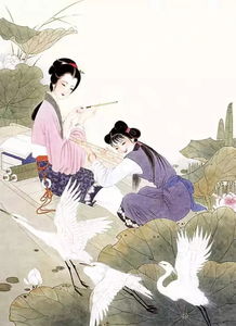 秋夕古诗,古诗秋夕的全诗