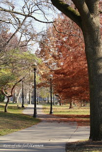 秋天的校园,秋天的校园优秀作文