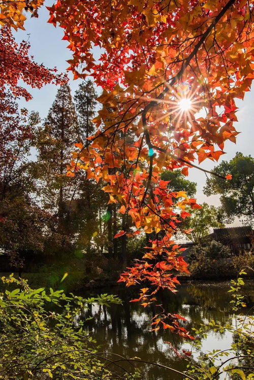 秋天的深处,描写秋天的深处怎么写？