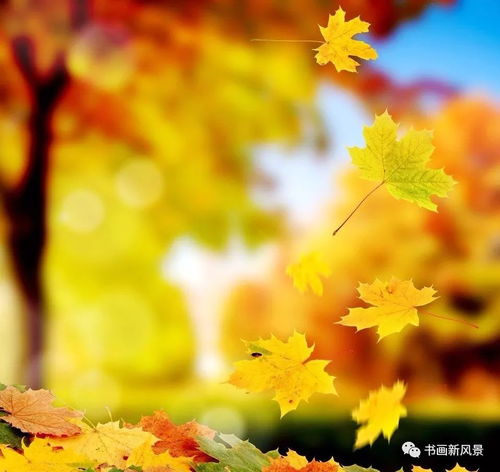 秋天的落叶像什么,秋天的落叶像什么？