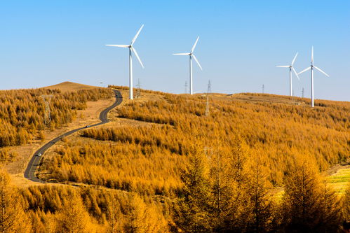 秋天路,秋天路上的景色的句子