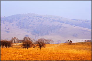 秋天何其芳,何其芳的《秋天》的原文是什么