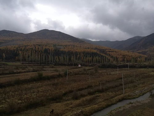 秋天不再回来,秋天不再回来，的歌词