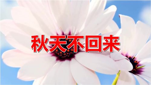 秋天不回来歌词,初秋的天冰冷的夜回忆慢慢袭来这首歌的歌名叫什么