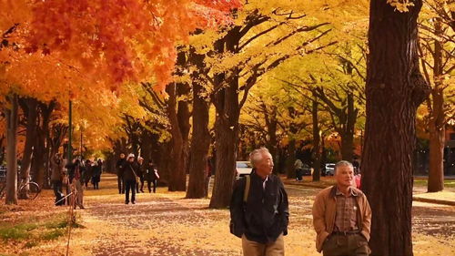 秋天到了,秋天到了什么写句子