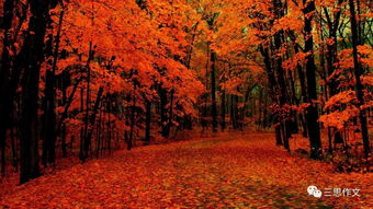 秋天来了,一年级课文秋天来了全文