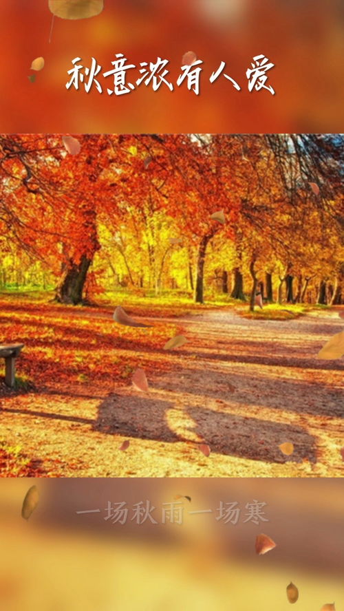 秋意在心中 爱是永恒,秋意在心中：爱是永恒的介绍