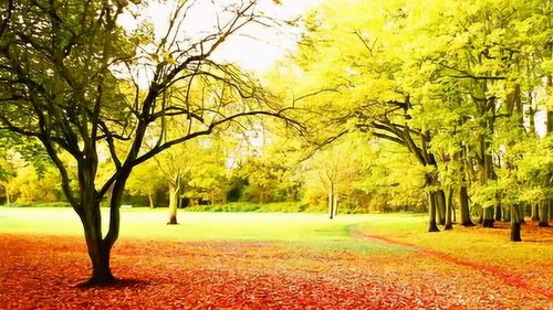 秋雨梧桐叶落时,春风桃李花开日，秋雨梧桐叶落时。这句话什么意思？