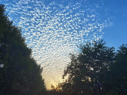 秋高气爽,秋高气爽的意思