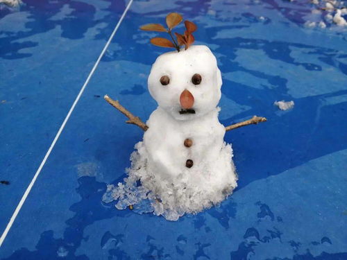 秘鲁渔场,秘鲁渔场是如何形成的？