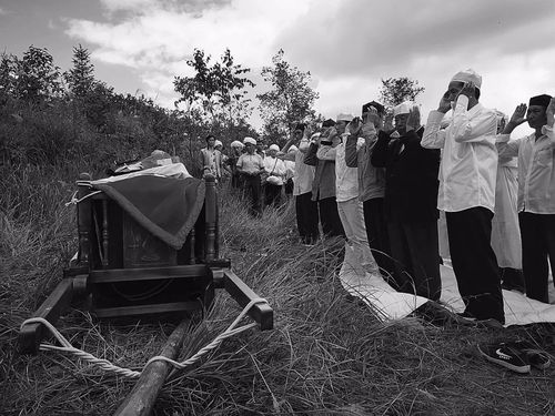 穆斯林的葬礼简介,《穆斯林的葬礼》内容简介200字左右