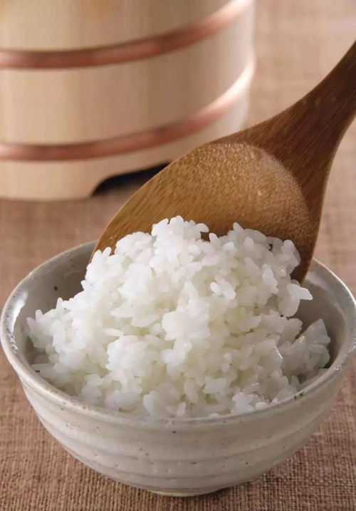 米饭的英语,米饭的英语单词是什么？