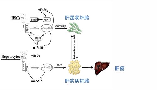 纳米技术还有什么用途,纳米技术可以用来做什么？