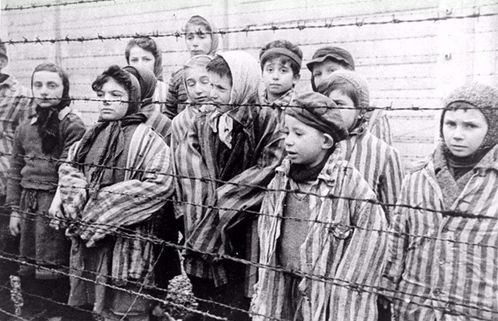 纳粹是什么意思,纳粹是什么意思